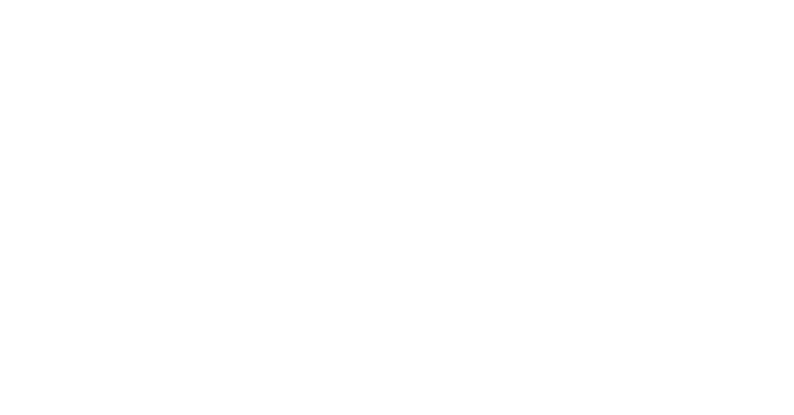 Surfside Telecom